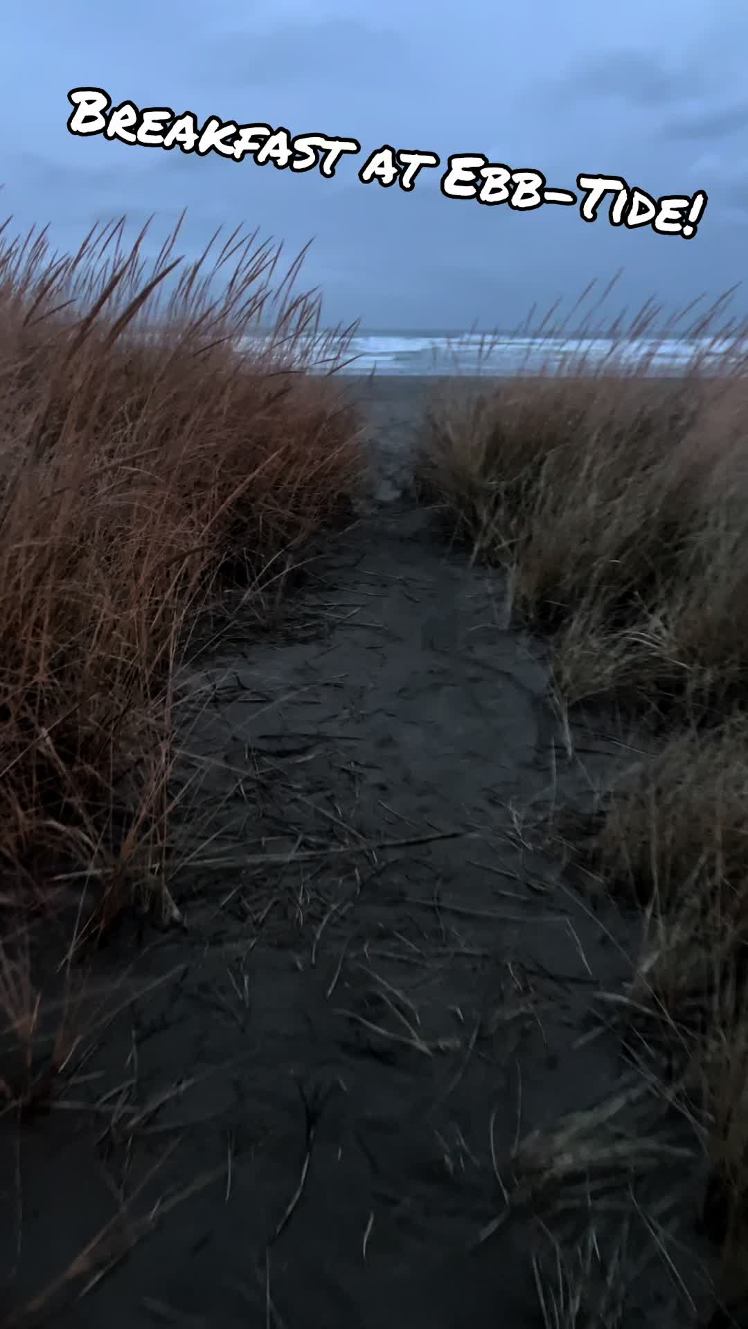 Ebb-Tide had such nice little area for breakfast! The coffee was really good too! Also I’ve never seen one of these contraptions before to make pancakes! 🥞 They were actually pretty good! #ebbtides #beach #breakfast #oceanfrontbeach #seaside #oregon #sahm #sahgm #fyp #toddlers #2under3 #beachtrip #breakfastincluded 