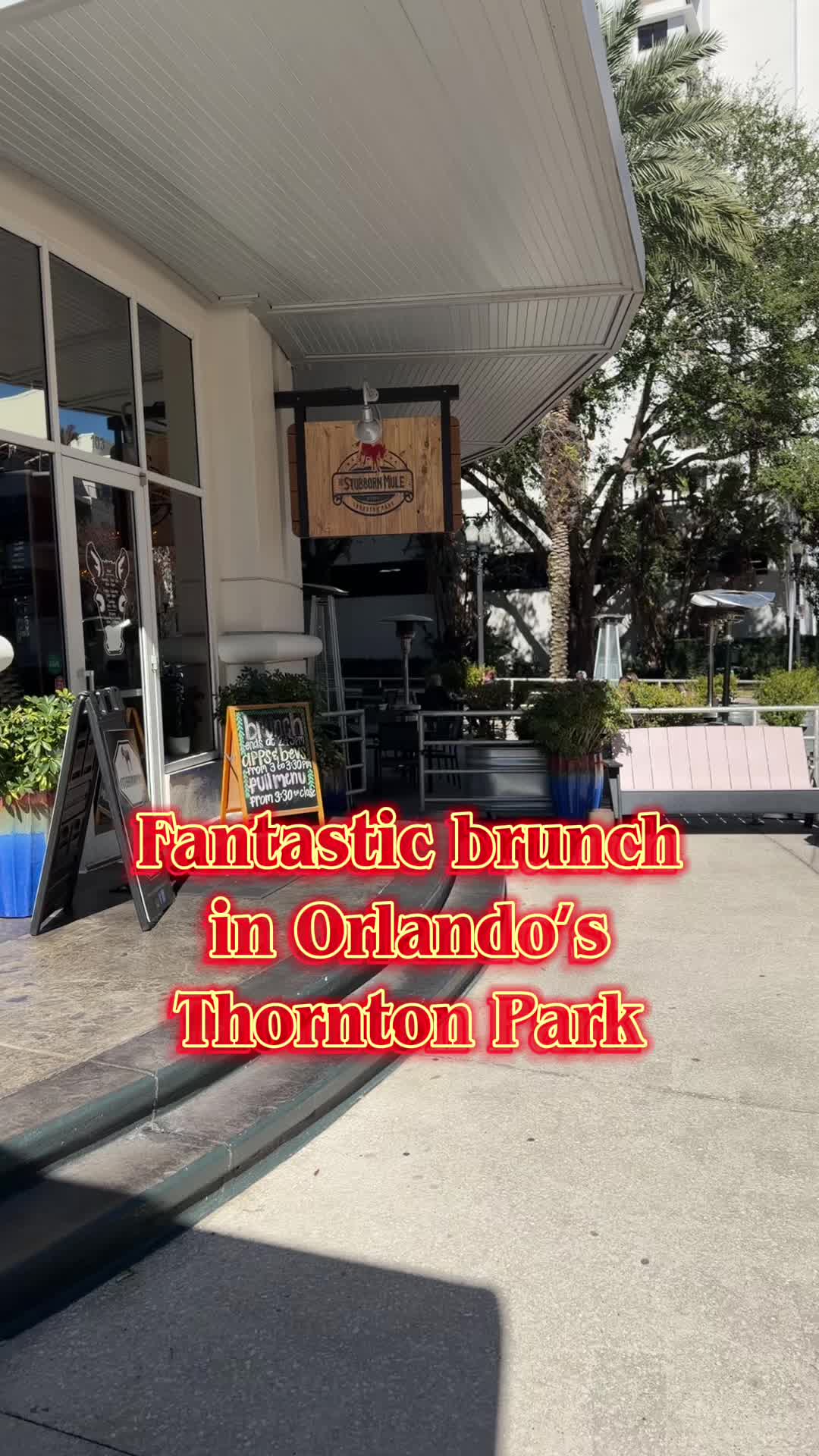 Run don’t walk to The Stubborn Mule #orlandofoodie #orlandofl #visitorlando @insta360 official @apars16 @The Stubborn Mule 