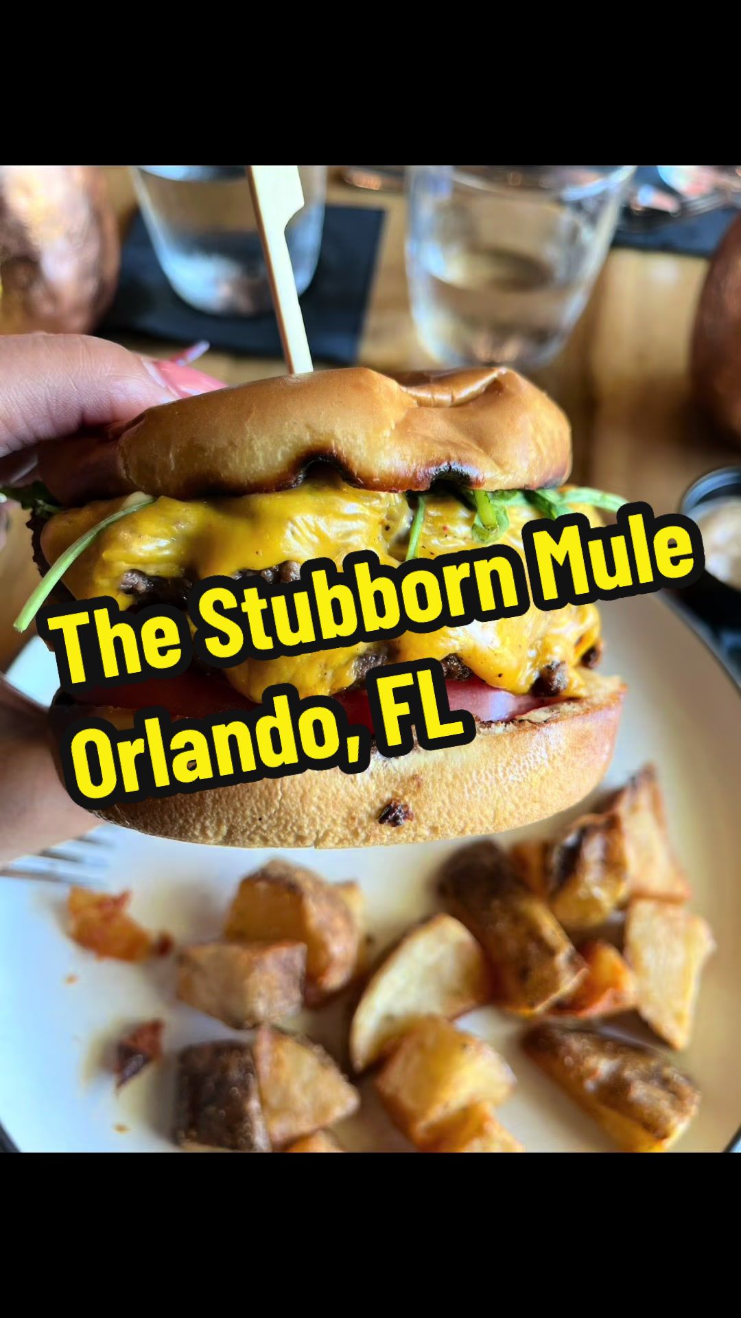 Things to do in Orlando, Fl: 
The Stubborn Mule

#orlando #orlandobrunch #orlandofoodie #thingstodoinorlando  #orlandofl @The Stubborn Mule 