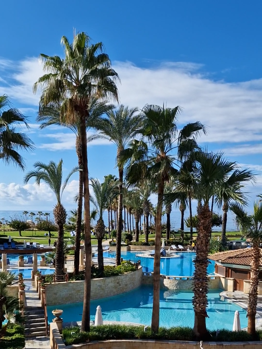 Elysium Hotel ⭐️⭐️⭐️⭐️⭐️
📍Paphos Cyprus 🇨🇾 🌊🩵🌴 
.
.
.
#elysiumhotel #elysiumhotelpaphos #elysiumhotelcyprus #lovecyprus #besthotel #visitcyprus 