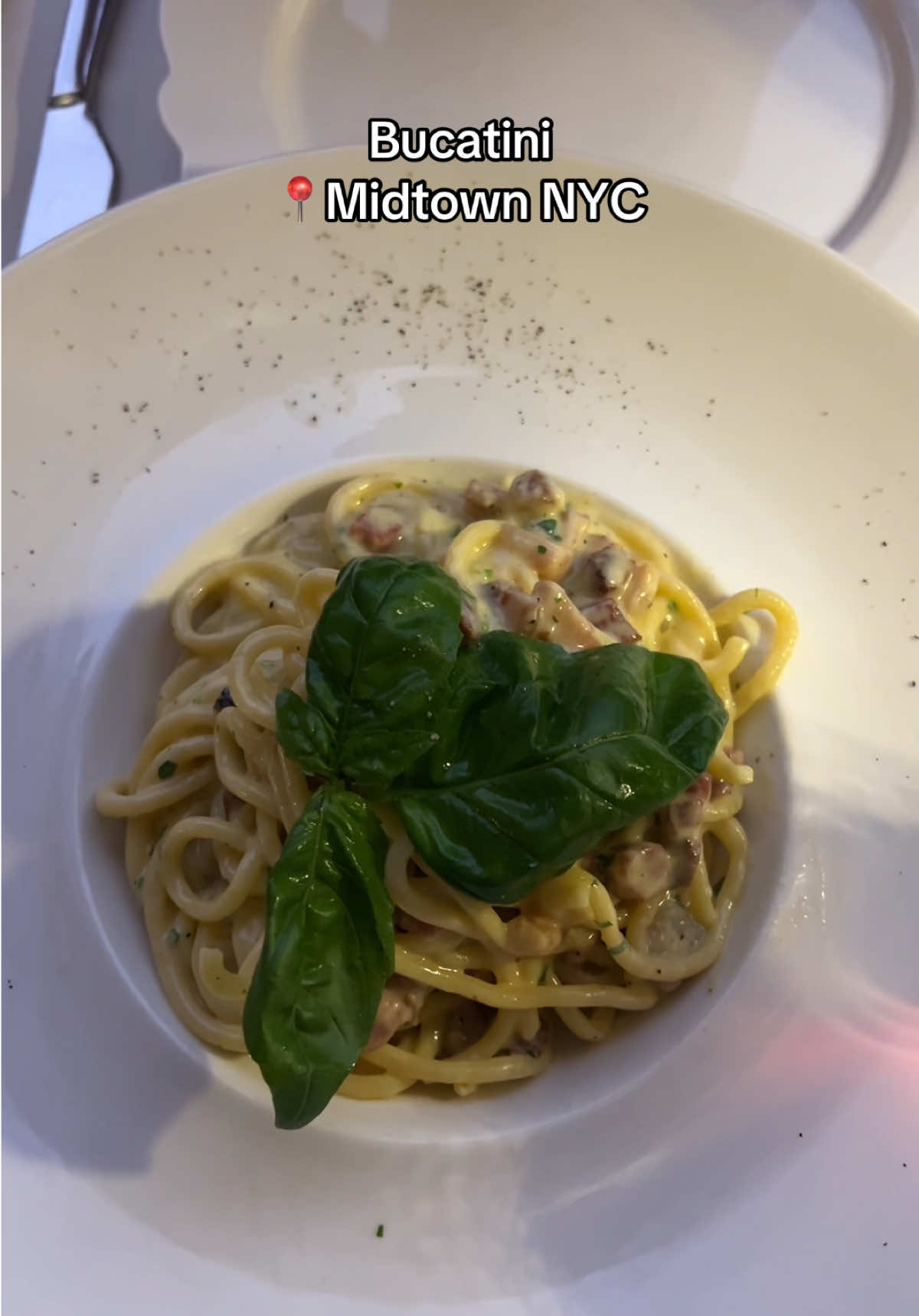 What we ordered:
-Beet salad
-whipped ricotta
-beef carpaccio 
-bucatini carbonara 
-lemon tart 

#nycrestaurants #nyceats #bucatini #italianrestaurant #nycfood 