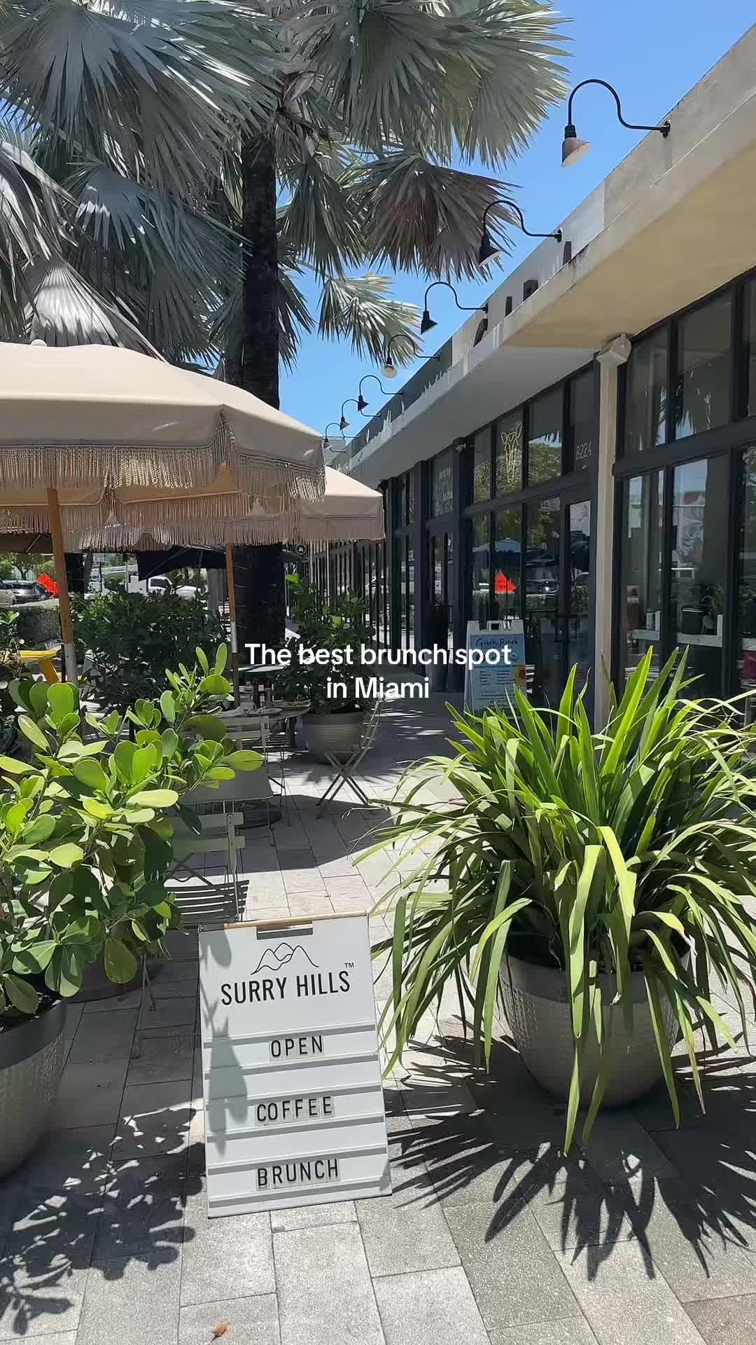 Best Brunch Spot in Miami. Actually the best coffee and Avo Toast ive had in a WHILE!  #surryhills   #miamibeach #miami #bestcoffee #aussiebreakfast #brunchtok 