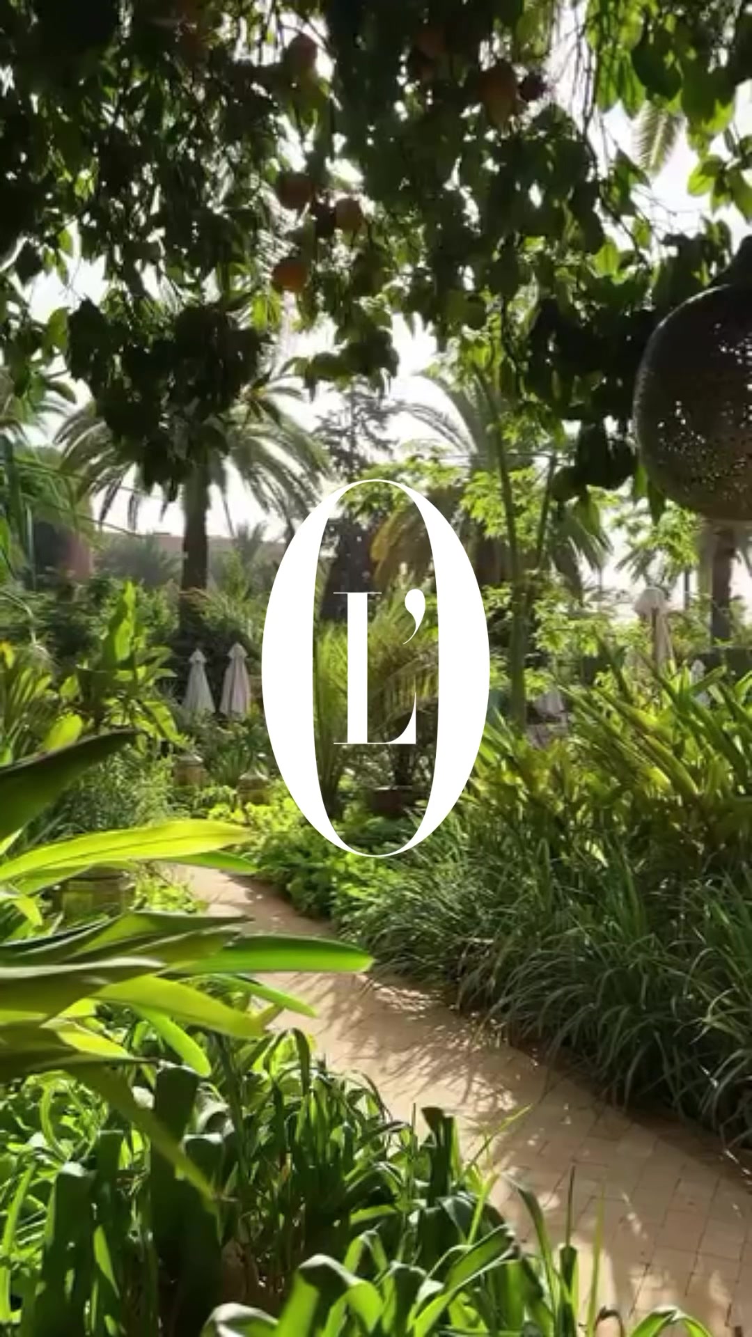 Sous le soleil écrasant de Marrakech, la piscine du @sofitelmarrakech devient une échappée douce. À l’ombre des palmiers, le temps s’étire, l’esprit se calme, et l’on savoure simplement l’instant ✨