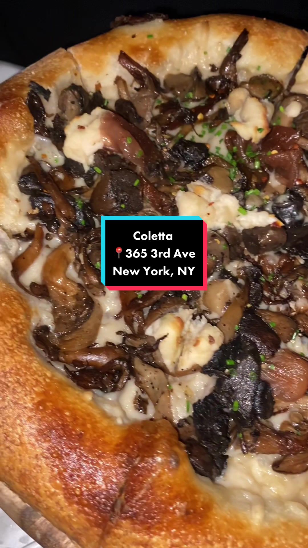 Eating Plants Throughout The Boroughs🌱#antisluggish #veganrestaurant #veganeats #vegannyc #nycveganrestaurants #veganfood #ceegifted 