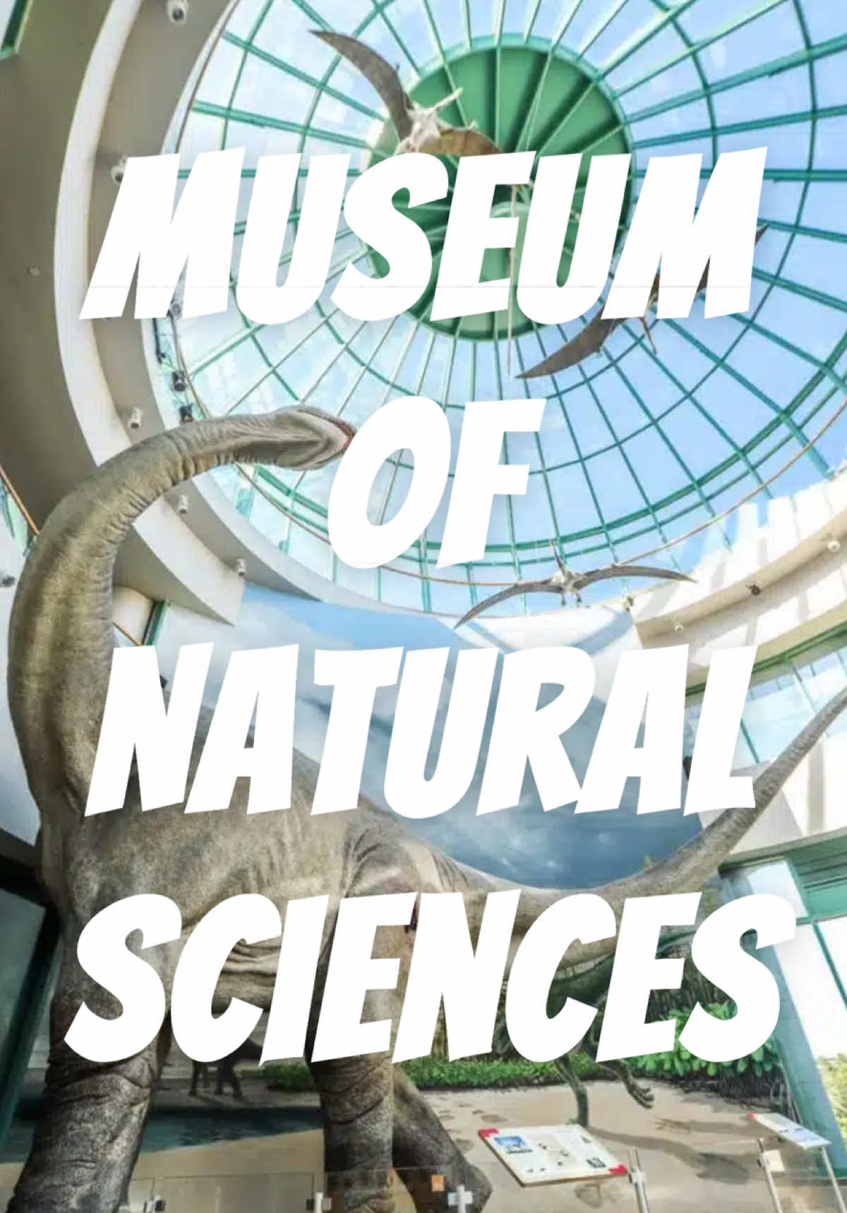 🌟 Looking for an unforgettable day out? Plan a trip to the North Carolina Museum of Natural Sciences in Raleigh! 🌟

This FREE museum has tons to see and do, making it the perfect spot for ALL ages. Whether you’re a science nerd, a nature lover, or just looking for a fun way to spend your day, this place has something for everyone!

Here’s what you can explore:
🦖 Dinosaur Hall – Stand in awe of fossils and life-sized skeletons.
🌌 Astronomy & Space Exploration – Dive into the wonders of the cosmos.
🐍 Living Conservatory – Get up close with live butterflies and reptiles.
🌊 Aquatic Life – Discover the mysteries of the ocean.
🌋 Earth Exploration – Learn about volcanoes, earthquakes, and our planet’s history.
🧬 Micro World – Explore the fascinating world of microbes.
🦅 Naturalist Center – Touch and examine specimens like shells, bones, and feathers.
👩‍🔬 Daily Science Demonstrations – Watch experiments in action.
🌿 Nature Research Center – Learn about cutting-edge science in the making.

Admission is FREE! It’s an amazing way to spend the day with friends, family, or even solo. Don’t miss out on the opportunity to learn, have fun, and be inspired by the wonders of our natural world.

📍 Tag your crew and plan your visit to the NC Museum of Natural Sciences! 🦋✨ 

@allybenitez_ @Brendan Benitez @Dan Maguffin  

#NorthCarolinaMuseumOfNaturalSciences #NorthCarolina #RaleighNC #Explore #Museums #Museum #Science #Dinosaurs #Crystals #Animals #SeaAnimals #Earth #Nature #Science #Research #Fossils #Fun #RaleighNorthCarolina 