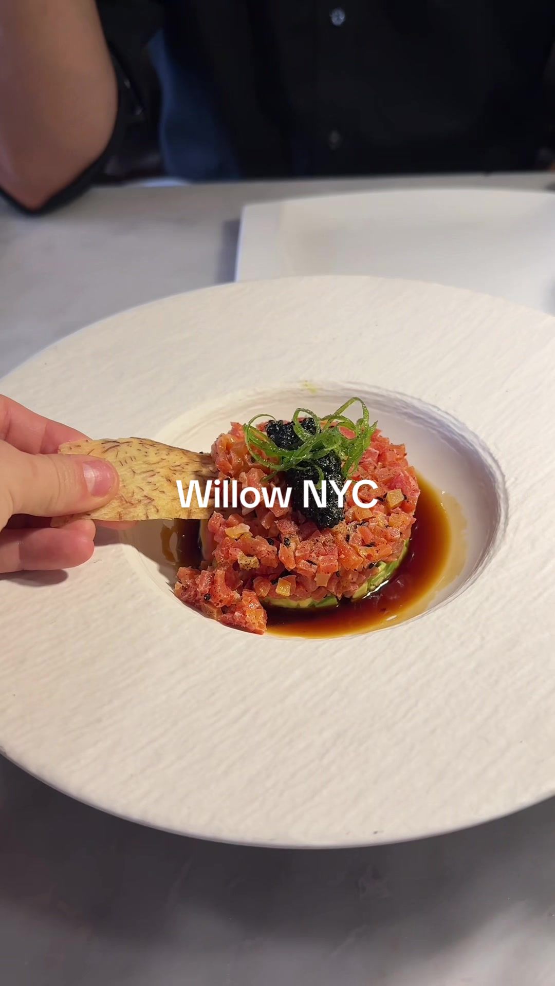 Come with me to try Willow @City Roots Hospitality restaurant in nyc!! The food was seriously amazing especially the dessert and the crab Rangoon!!

#nycrestaurant #nycrestaurantreview #nycveganrestaurant #nyclifestyle 