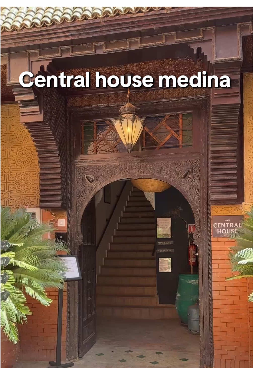 The central house medina hostel in Marrakesh gets a 10/10 from me 🇲🇦

#fyp #foryou #solotravel #travel #holidays #morroco #marrakech #hostellife 